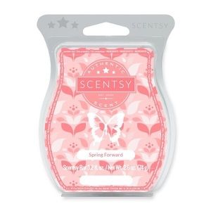 Scentsy wax bar